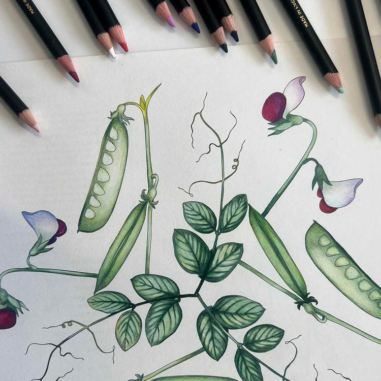 Bog: Flora Danica mandalas spiselige blomster