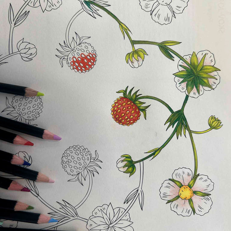 Bog: Flora Danica mandalas spiselige blomster